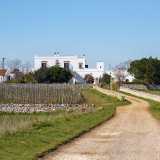 Salutiamo Rosalba e ci dirigiamo nell�agro di Gioia del Colle per visitare la Tenuta Patruno Perniola. Siamo in collina, a circa 350 metri d�altezza: qui il terreno roccioso e minerale fornisce i nutrimenti che arricchiscono i grappoli